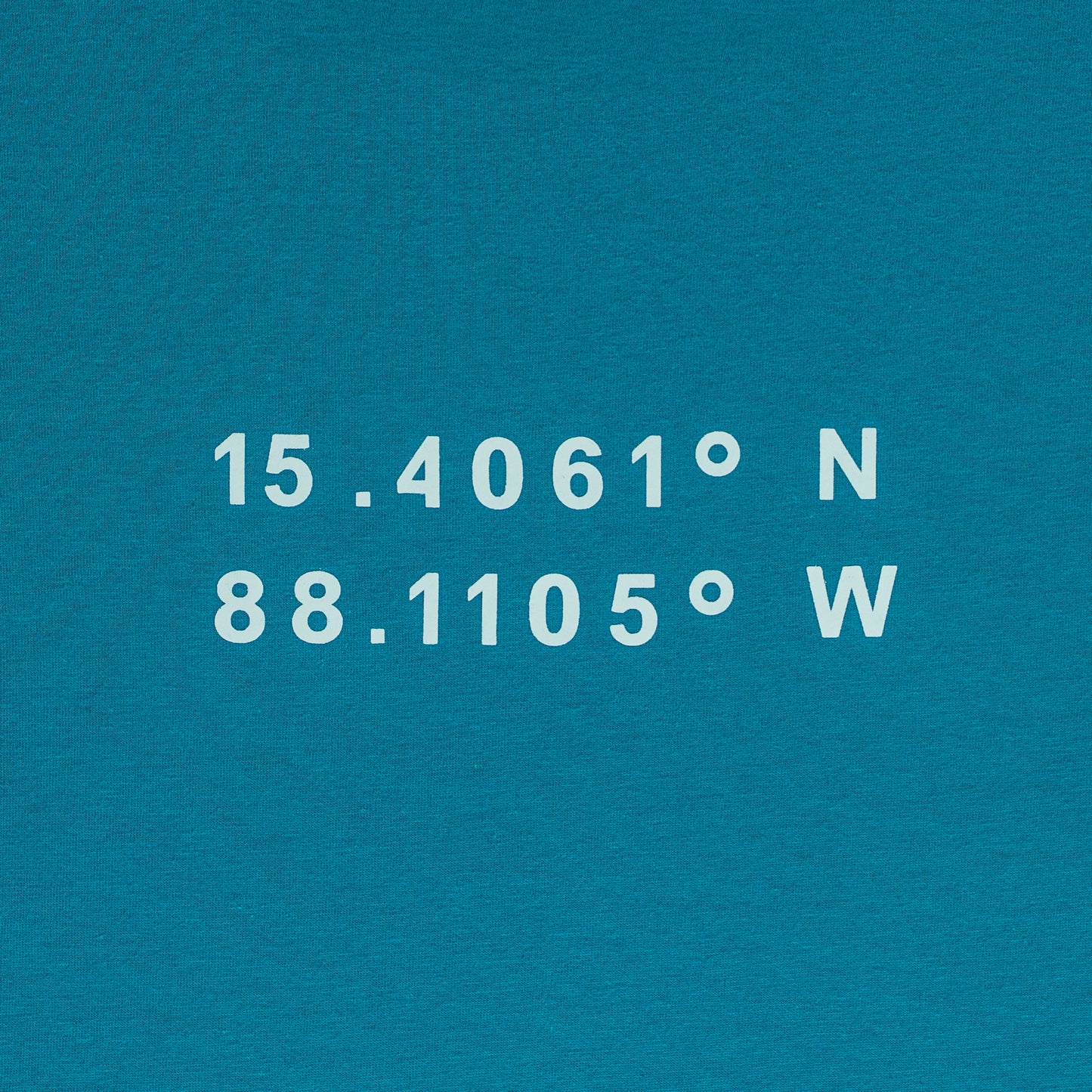 Graph Coordinate T-shirt