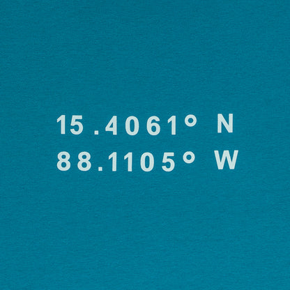 Graph Coordinate T-shirt